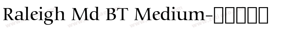 Raleigh Md BT Medium字体转换